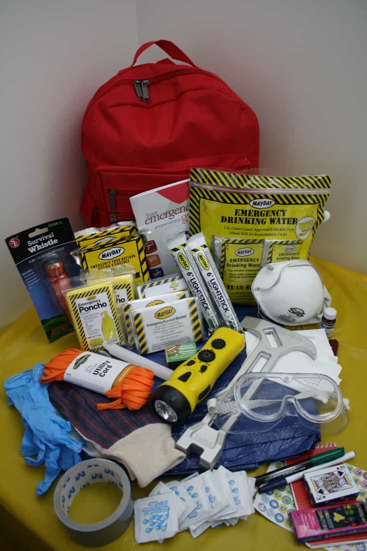 Disaster Relief Kit