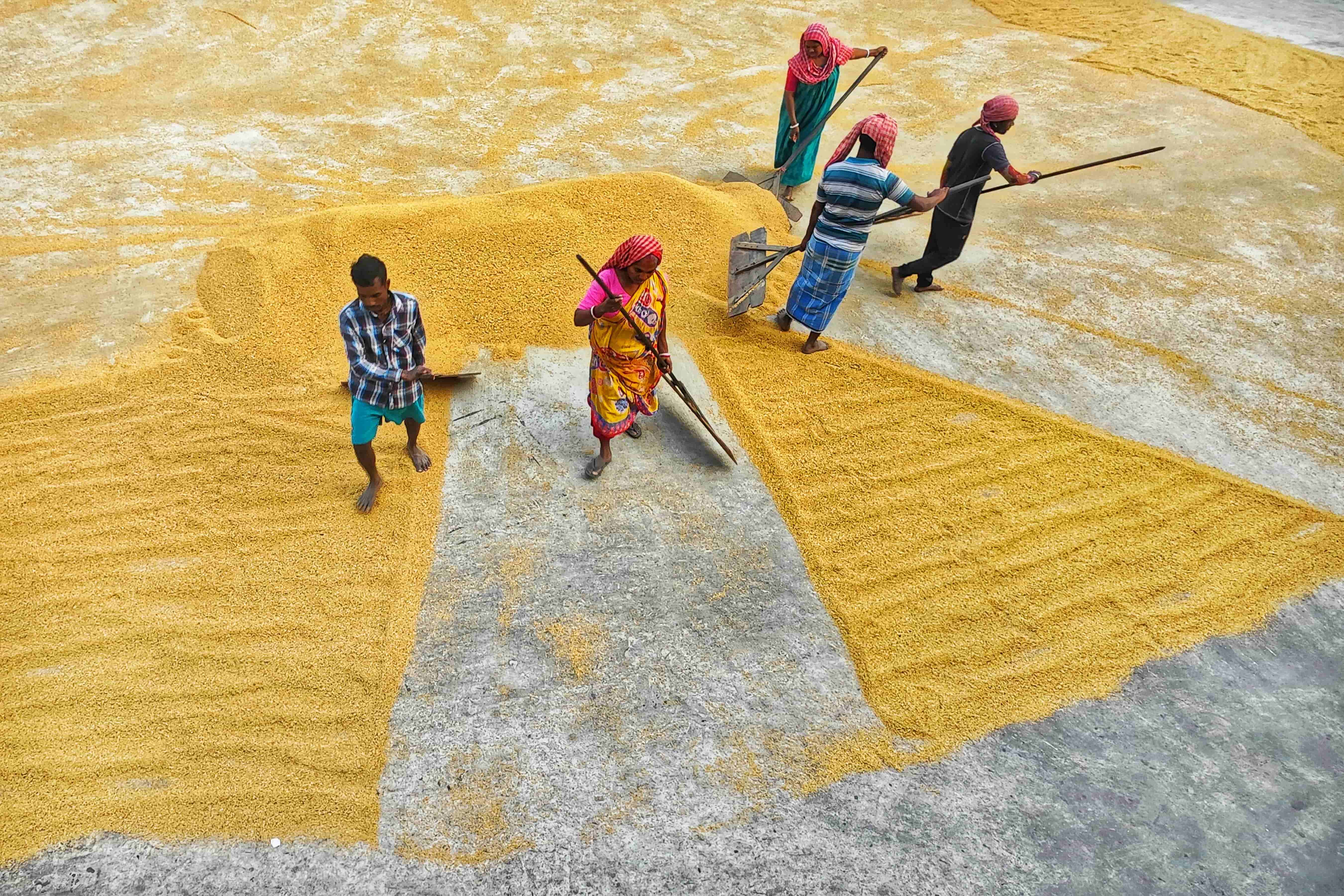 Farmers sowing seeds