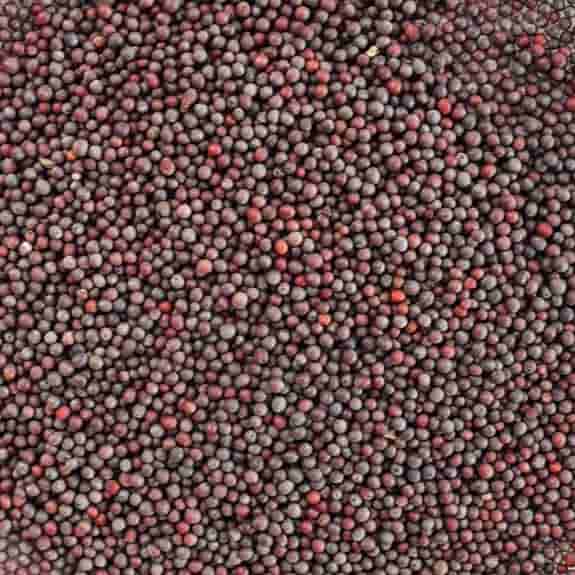 Mustard Oil